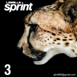 SPRINT 03