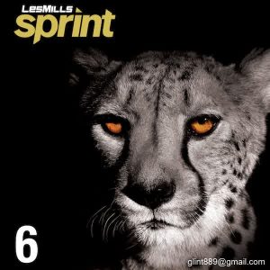 SPRINT 06