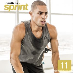 SPRINT 11