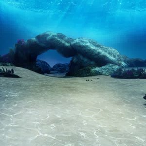 THE TRIP 11