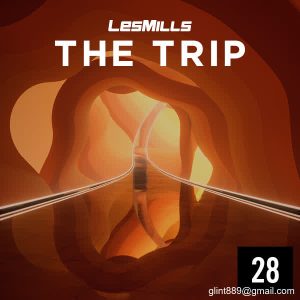 THE TRIP 28