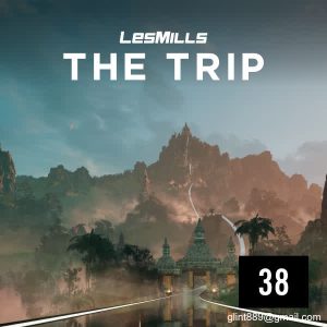 THE TRIP 38